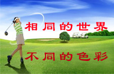 企業簡介